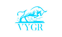 Vygr News Logo