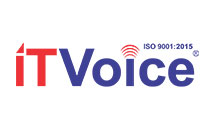 IT Voice LOGO