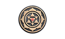 Sadhana logo